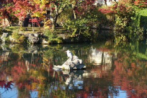 永観堂