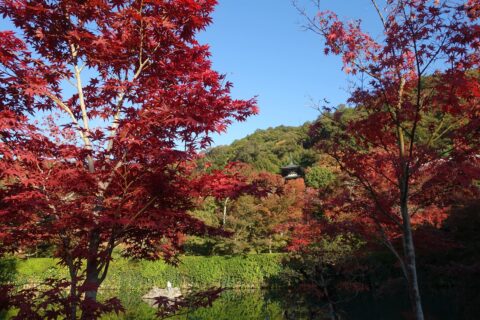永観堂