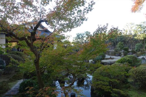 栄摂院 庭園