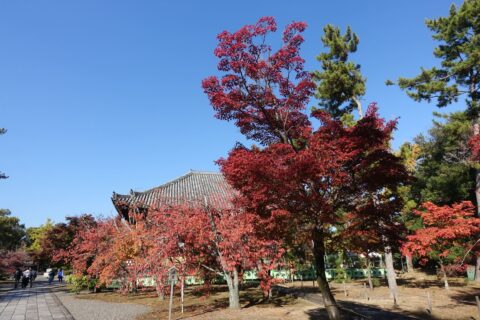 広隆寺 講堂