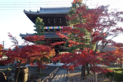 金戒光明寺 山門