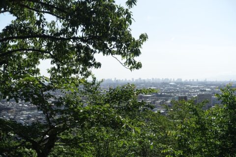 大阪市北部の摩天楼を望む