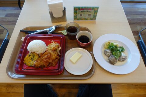 JICA関西食堂のエスニック料理