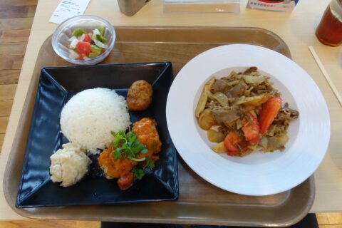ブラジル料理とペルー料理