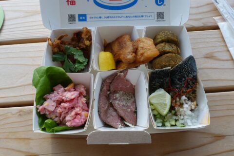 世界の料理 6大陸セット