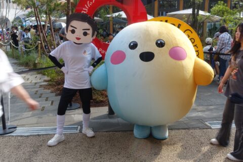 サーキュラー