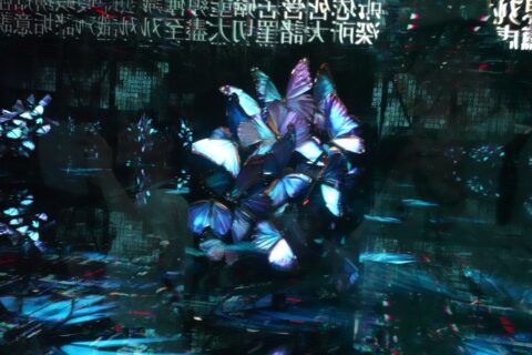 胡蝶の夢