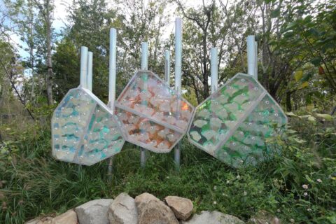 ステファノ・マンクーゾ and PNAT《The Hidden Plant Community》