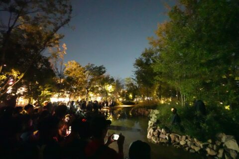 ピエール・ユイグ idiom