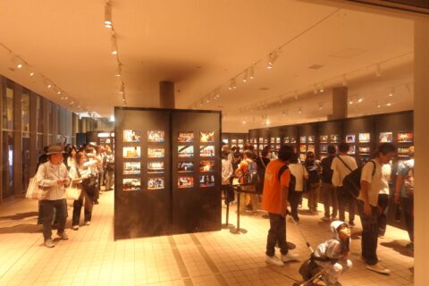 みんなの物語、ひとつの万博：184日間の軌跡